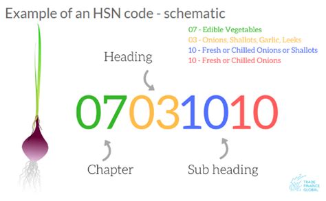 8 digit hsn code example