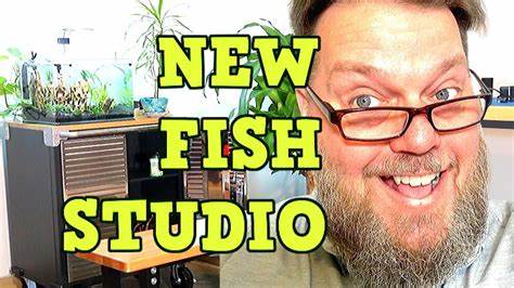 94.1 The Fish studio