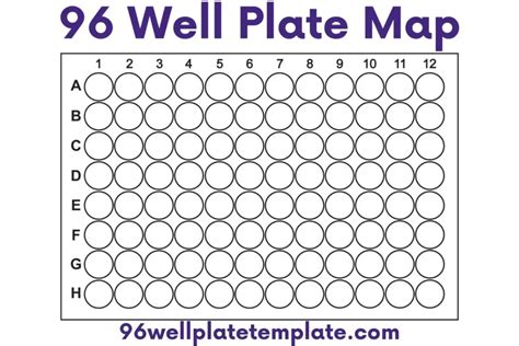 96-well Plate Template