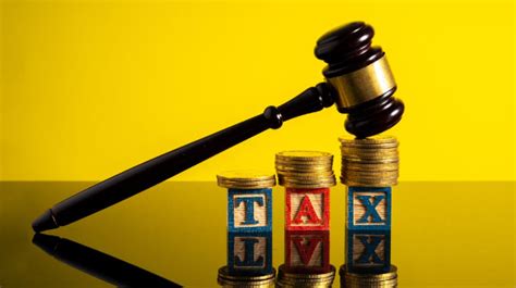 A Comprehensive Guide to Court Representation with Expertise in Tax Law