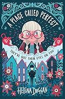A Place Called Perfect: Buku yang Bikin Penasaran, Worth It Dibaca?