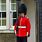 A Royal Guard