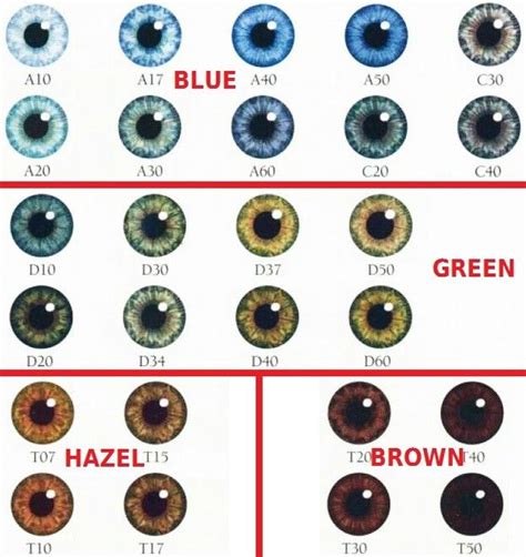 A10 Eye Color Chart