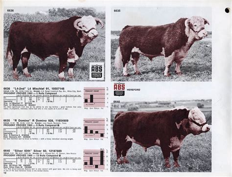 Abs Bull Catalog