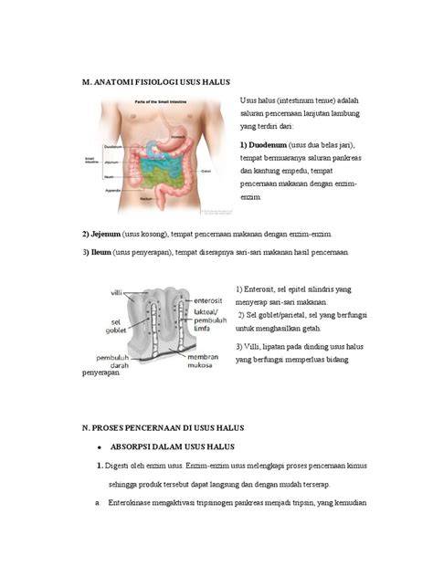 Absorpsi Nutrisi Usus Halus