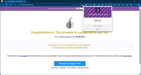 Accessing Onion Sites Without Tor
