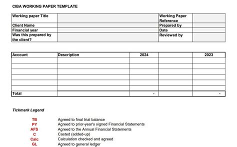 Accounts Working Papers Template
