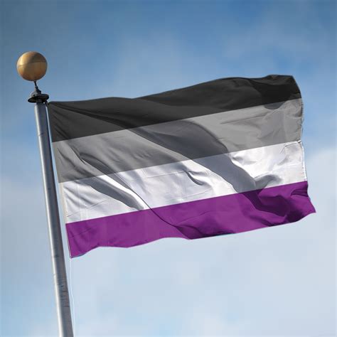 Ace Pride Flag