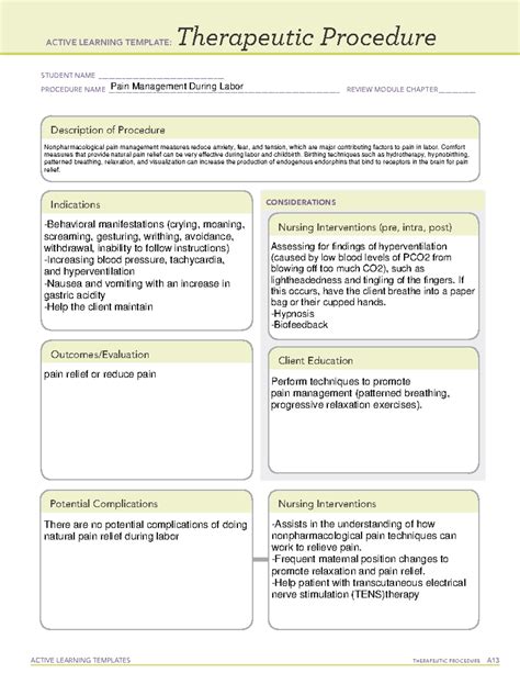 Active Learning Template Therapeutic Procedure Pain Management