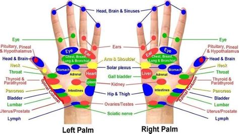 Acupressure Points Hand Chart
