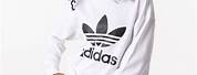 Adidas White Cards Sweatshirts