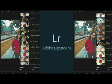 Adobe Lightroom Mod Custom Preset