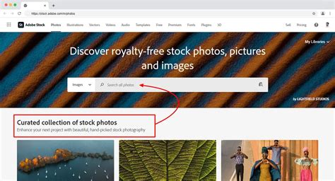 Adobe Stock
