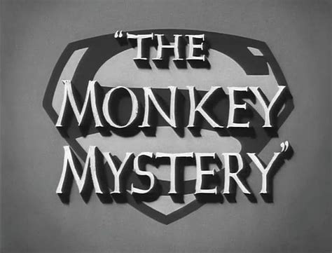 Mystery Monkey