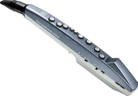 Aerophone instruments