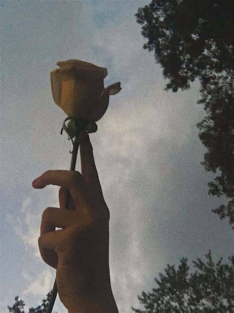 Aesthetic