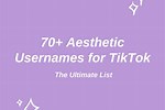 Aesthetic Tik Tok Usernames