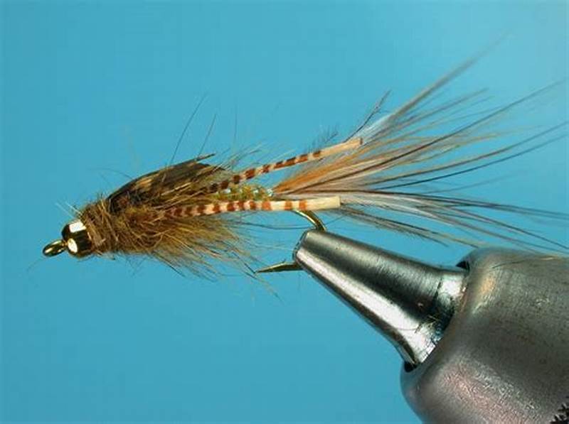 Aggravator Fly Pattern