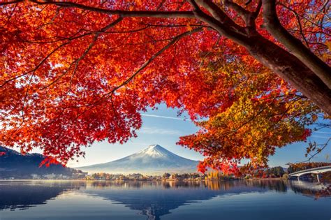 Aki Kecantikan musim gugur Jepang