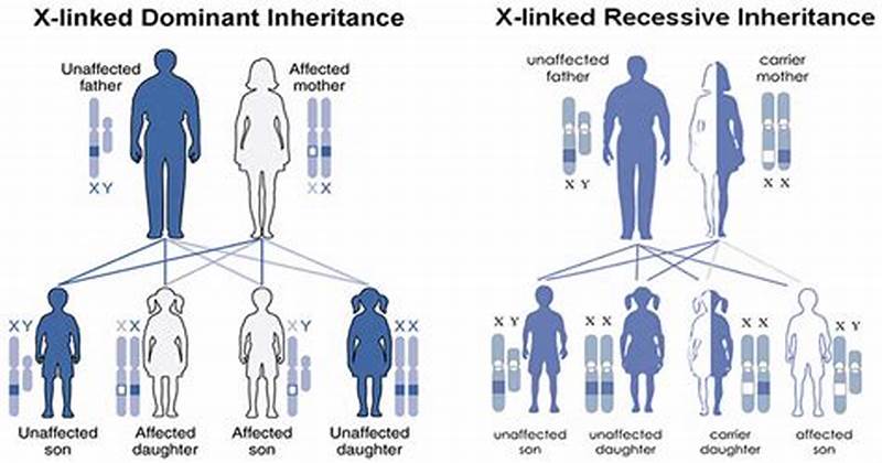 Albinism Inheritance Pattern