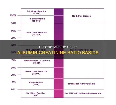Albumin/creatinine Ratio Chart