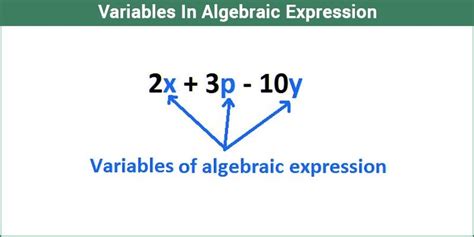 Algebraic Variables