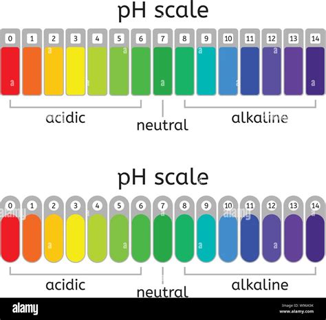 Alkaline And Acidic Chart