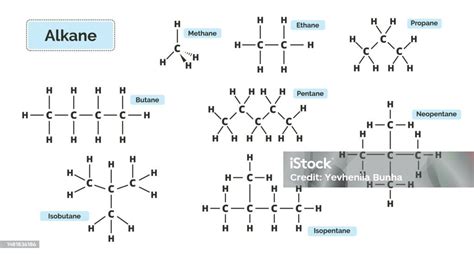Alkanes chemical structure