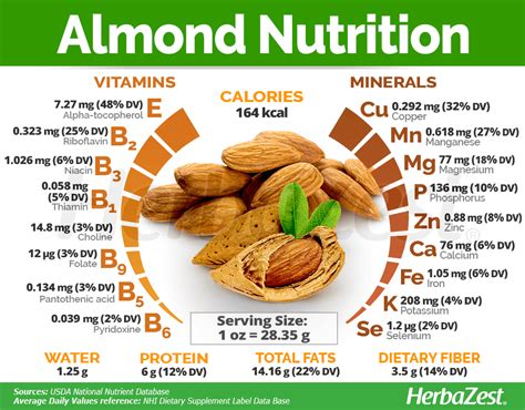 Almond Nutrition Chart