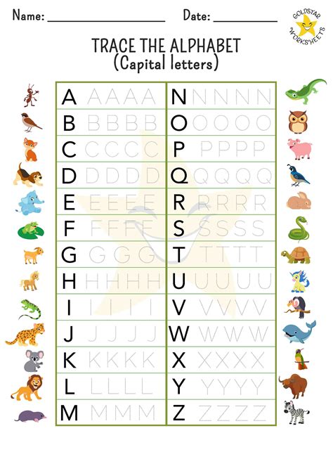 Alphabet Tracing For Preschoolers Printables