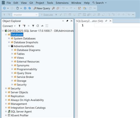 Altering Report Through Ssms Query Catalog Table