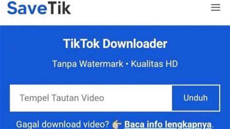 Alternatif Lain: SaveTik