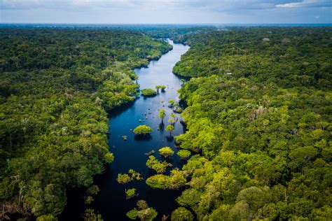 Hutan Amazon