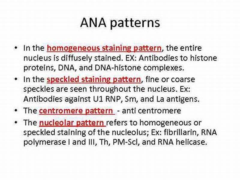 Ana Homogeneous Pattern Positive