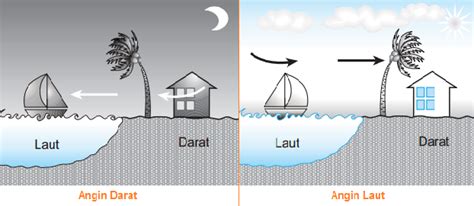 Angin Laut