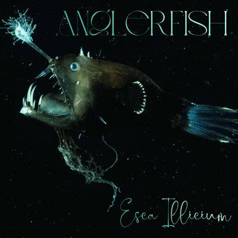 Anglerfish dengan Esca