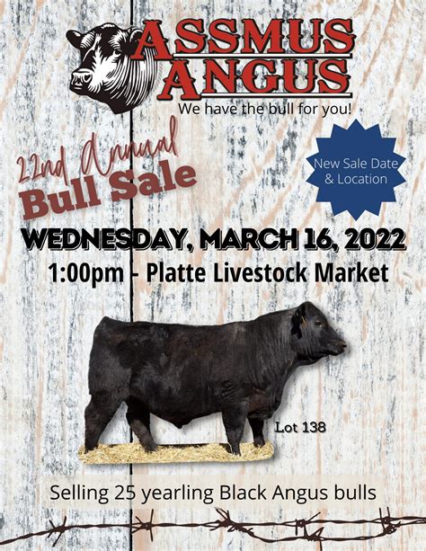 Angus Bull Sale Catalog