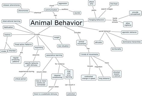 Animal Behavior Chart