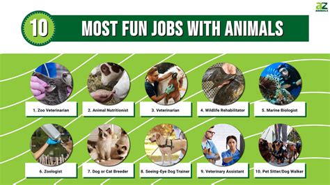 Animal Career Jobs