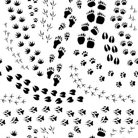 Animal Tracks Printable