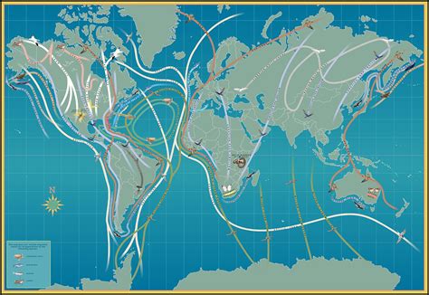 Animal migration