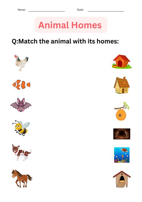 Animals And Their Homes Printables
