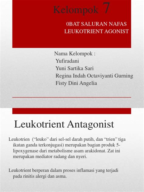 Antagonis Leukotrien