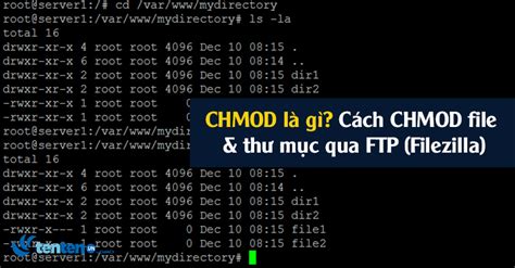 Antarmuka Filezilla untuk izin CHMOD