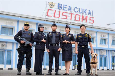 Apa Itu Bea Cukai (Customs) Sebenarnya?