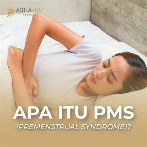 Apa Itu PMS