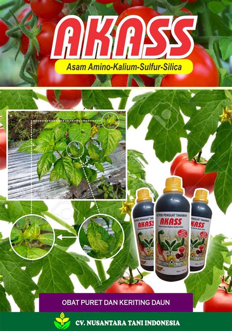 Apa Itu Sebenarnya Tanaman Semusim