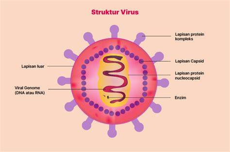 Apa Itu Virus