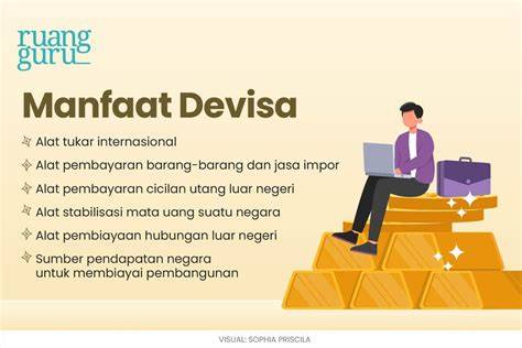 Apa Sebenarnya Devisa Negara Itu