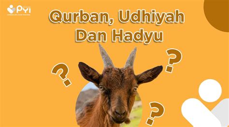 Apa Sebenarnya Udhiyah Itu